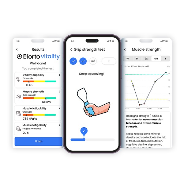 [705101] Eforto® Connect Subscription (1 year)